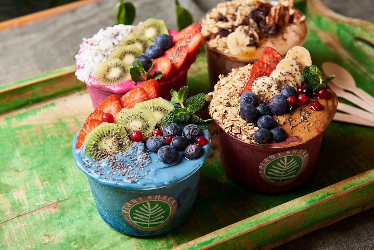 Plant Shack Santa Catalina-3