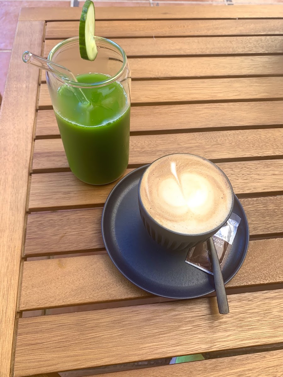 Plant Shack Santa Catalina-8